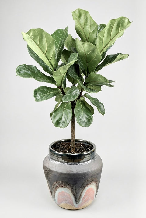 volcanic rainbow planter